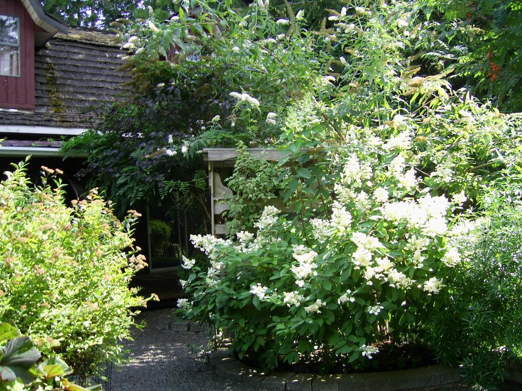 Garden House Otel Courtenay Dış mekan fotoğraf