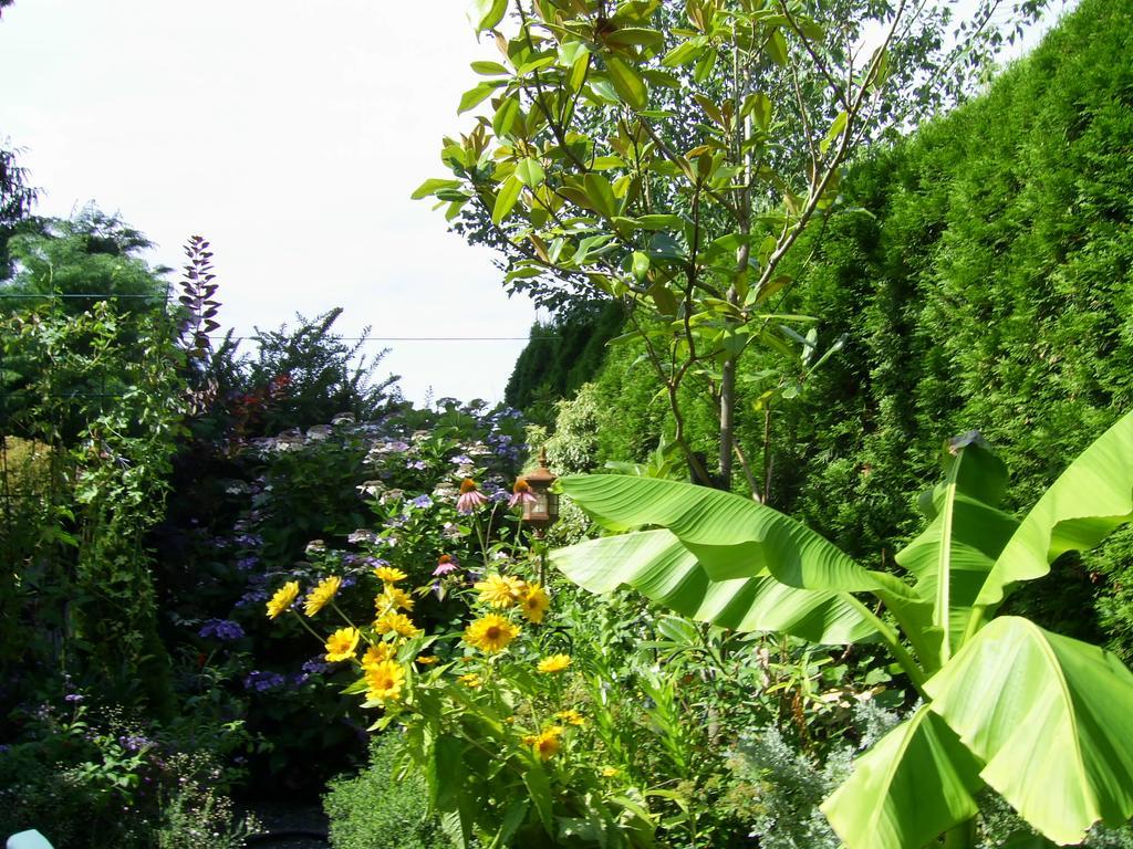 Garden House Otel Courtenay Dış mekan fotoğraf